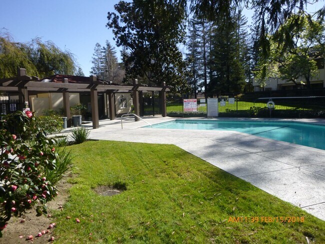 Photo - Upgraded 2 Bedroom One Bath Condo in Cambrian Unit 134