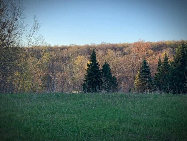 Outdoor Backyard - 7048 W 38 Rd Unit 5