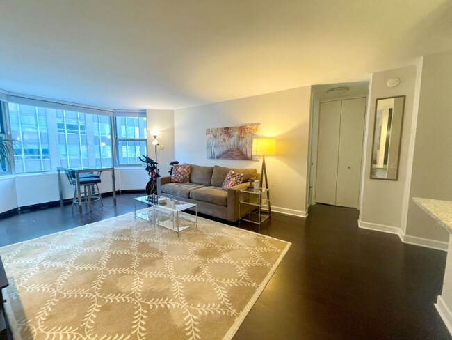 Photo - 535 N Michigan Ave Unidad 2003