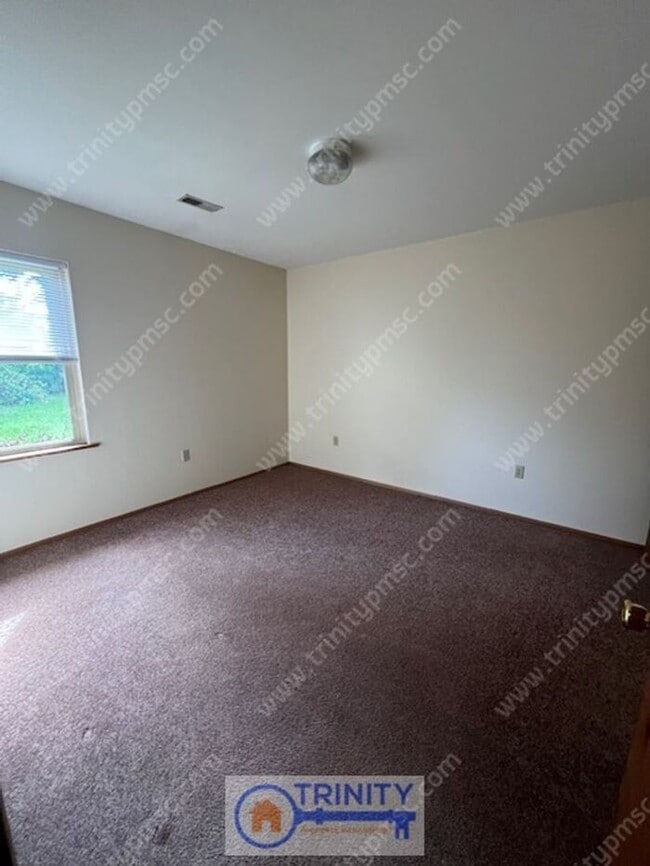 Photo - Cute and Available NOW!