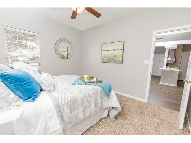 Photo - Lake Shore Apartments