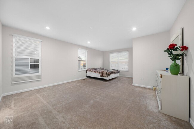 Photo - South Naperville Executive Style Rental First Floor Bed and Bath