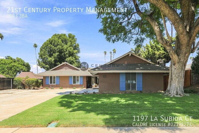 Building Photo - 1197 La Subida Ct