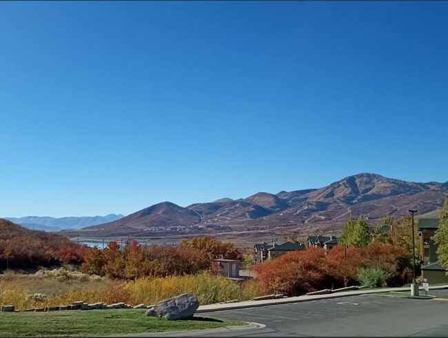 Photo - Todd Hollow at Deer Mtn.