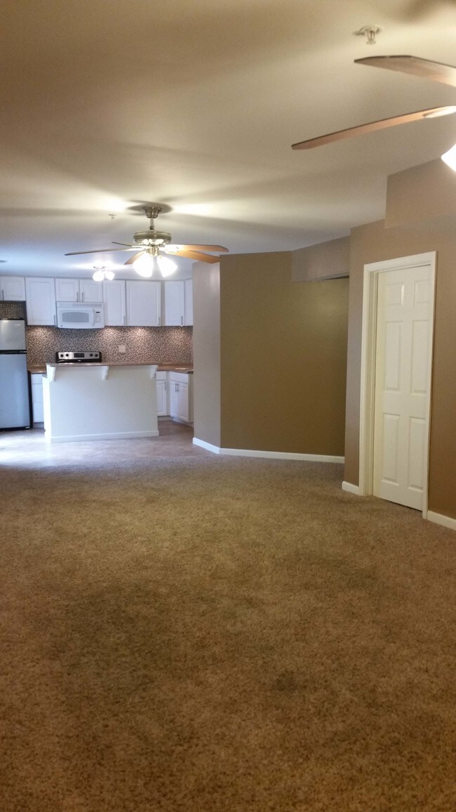 Kitchen View from Living - 8612 Lonicera Ct Unidad Basement Suite