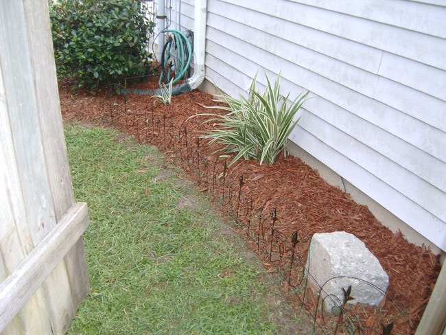 Side Yard - 13801 Pierres Ct