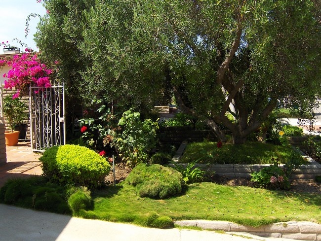 809 N Paulina Ave