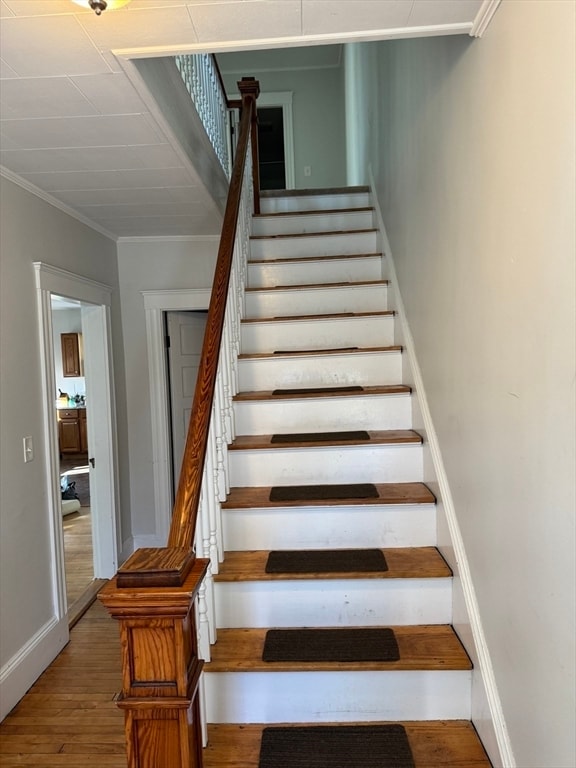 Photo - 56 Sheridan St