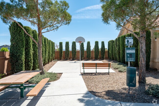 Basketball Court
