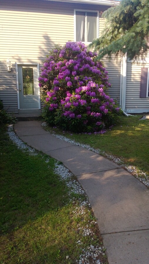 Photo - 4 Pond Path Apartment Unit Mary Segatol-Islami