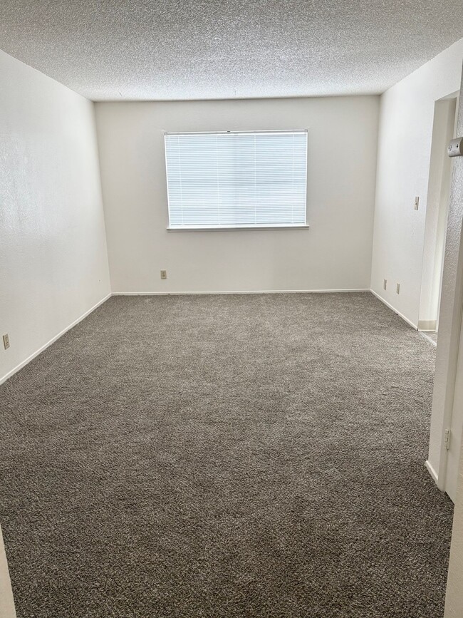 Charming 1 Bed / 1 Bath Downstairs Unit wi... - Charming 1 Bed / 1 Bath Downstairs Apartment Unit wi... Unit 4