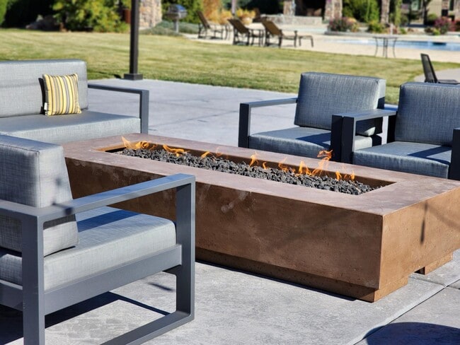 Photo - Red Tail by Baron