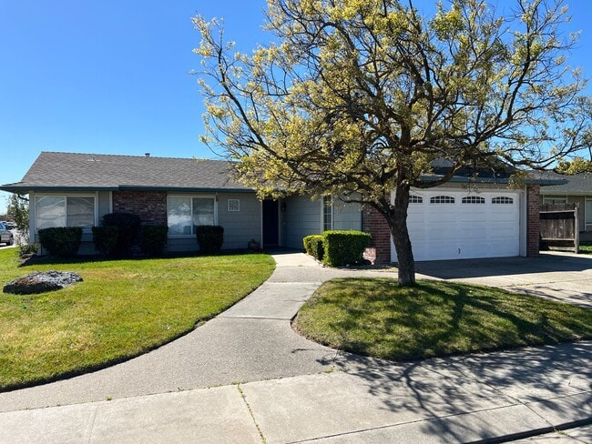 Updated 3 bedroom single story in Manteca! - Updated 3 bedroom single story in Manteca! House