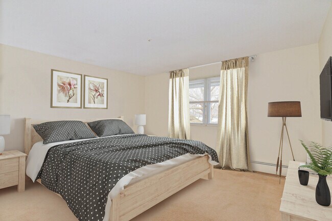 Photo - The Pines at Hovey Square