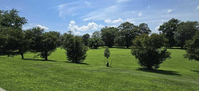 Park 2