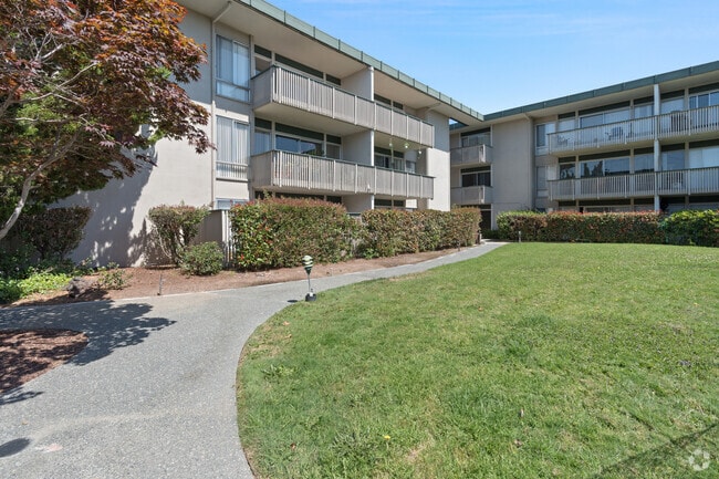 Courtyard 1