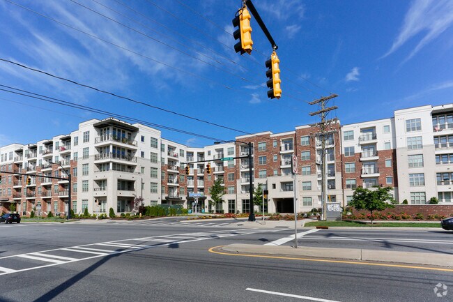 Building Photo - Camden Southline Rental
