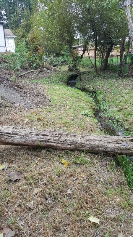 Photo - 1218 S 211th St