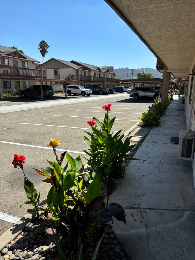 The Palms