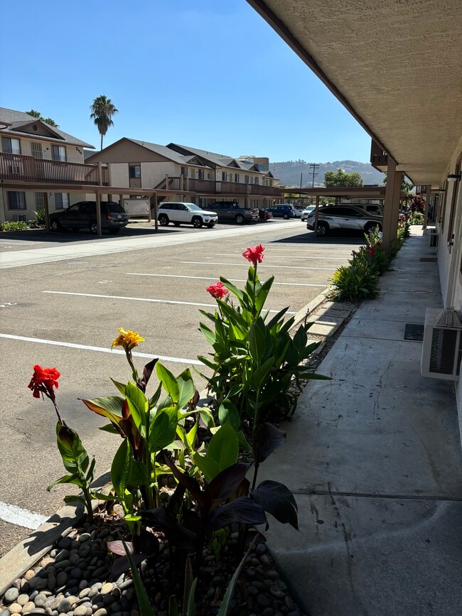 Photo - The Palms