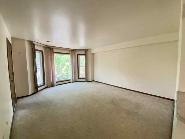 Photo - 919 S Carpenter St Unit 3N