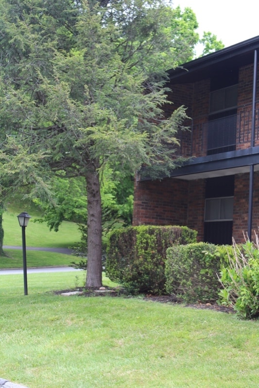 Photo - 102 Terrace Ct