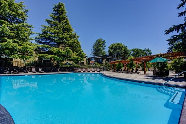 Commons at Timber Creek Apartments