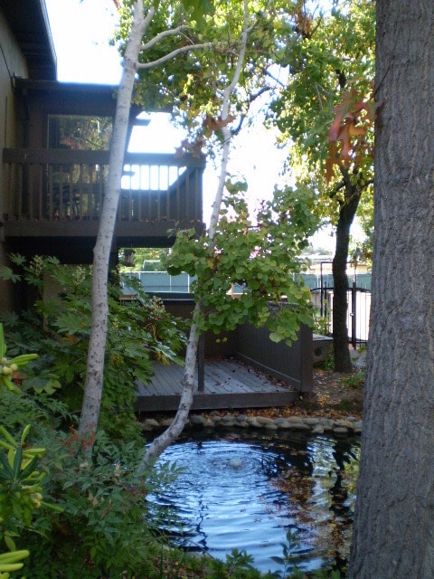 Photo - Stunning Timberlake Lodge Condo in Quiet Arden-Arcade Community!