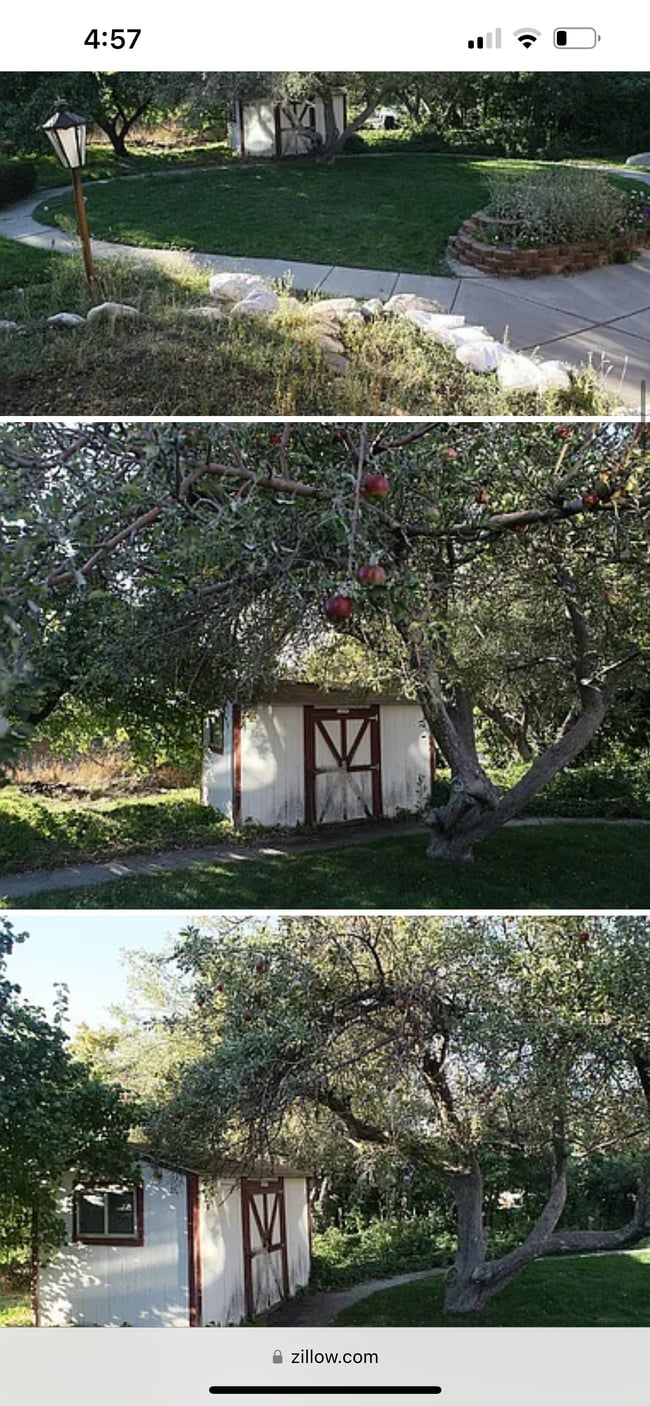 Photo - 205 N 1050 E Unidad Basement Apartment