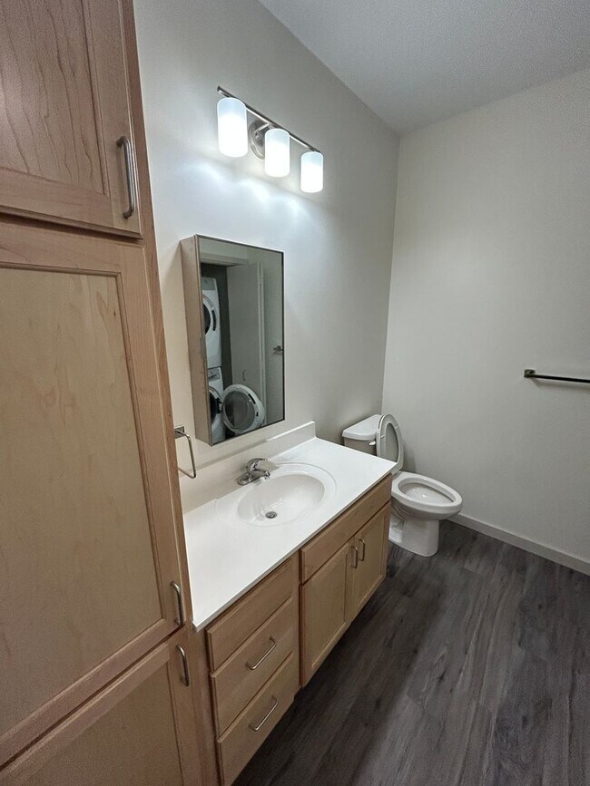 Photo - Studio Unit at Tiller+Main Unit 206