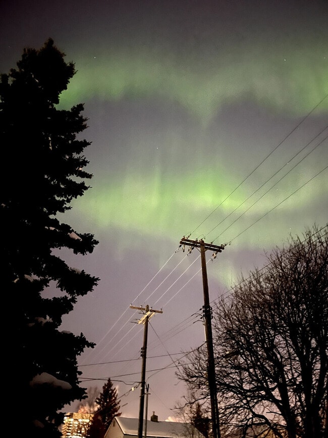 Photo - 243 W 13th Ave Unit ID1284535P