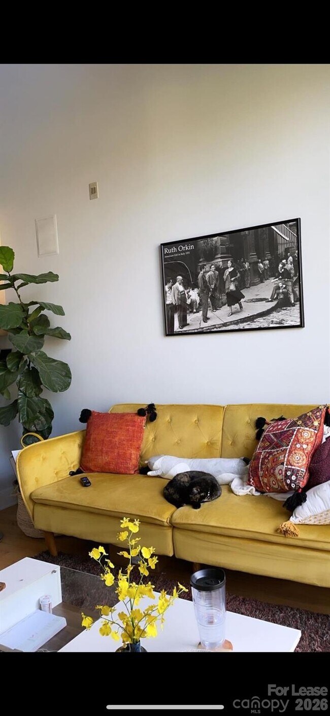 Photo - 115 E Park Ave Unidad 423