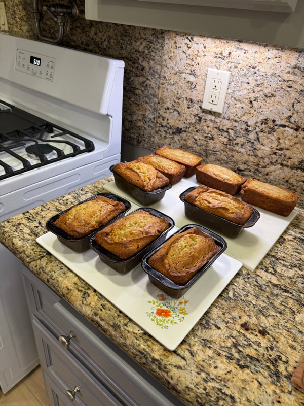 Photo - 6261 E El Paseo St