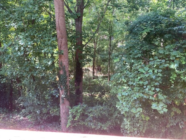Photo - 1927 Trexler Ct