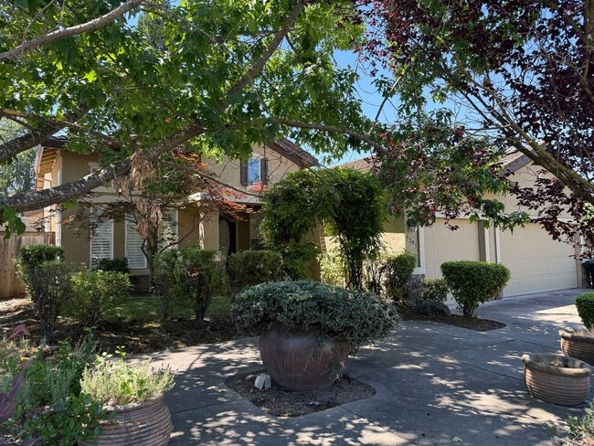 Building Photo - BEAUTIFUL SINGLE STORY 3+BD, 2.5 BA, & 3 CAR GARAGE!