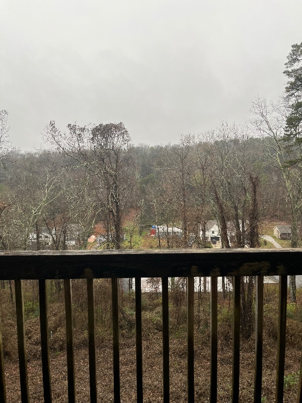 Photo - 143 Hendricks Blvd