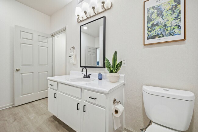 Large Bathroom