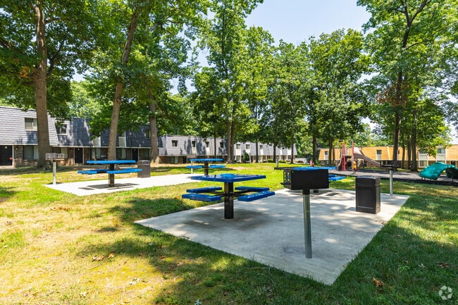 Grilling Area