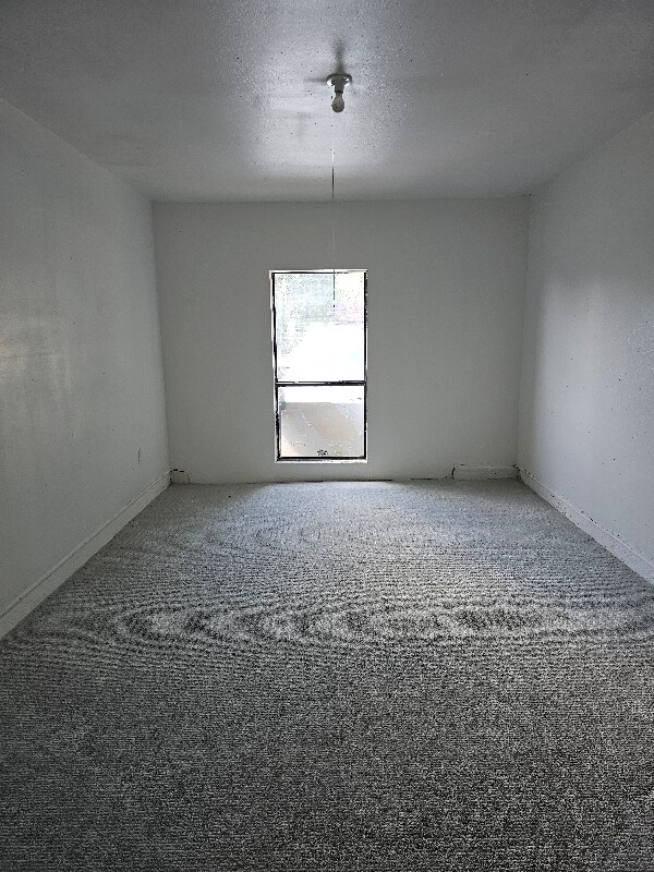 Photo - 548 Highfall Dr