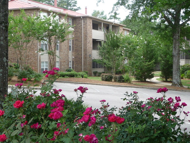 A tree-filled, peaceful condo community - 508 Patton Chapel Way Condo Unit 508