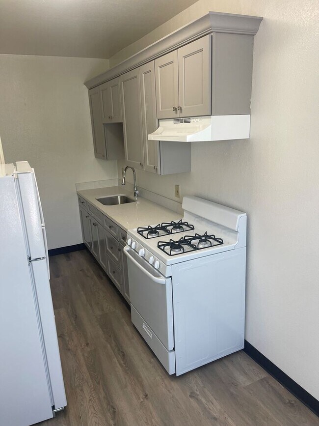 Photo - Newly upgraded Central Berkeley one-bedroo... Unit 04
