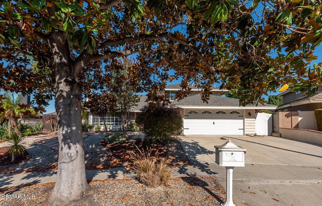 Building Photo - 363 Larcom St Rental