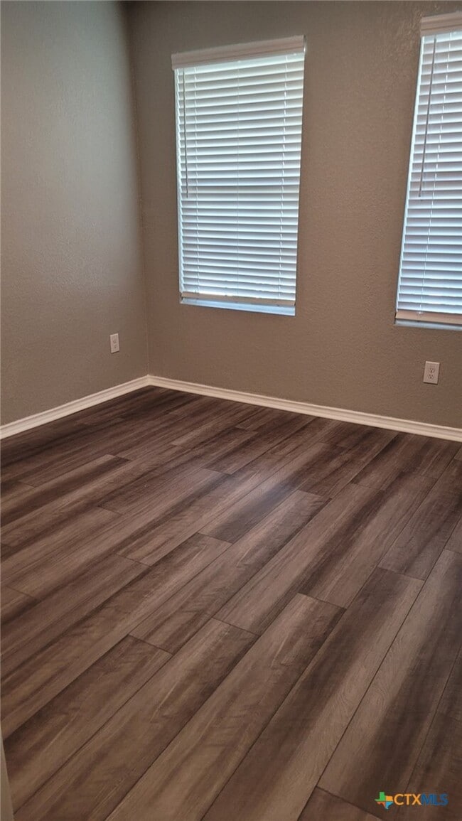 Photo - 1915 Chiffchaff