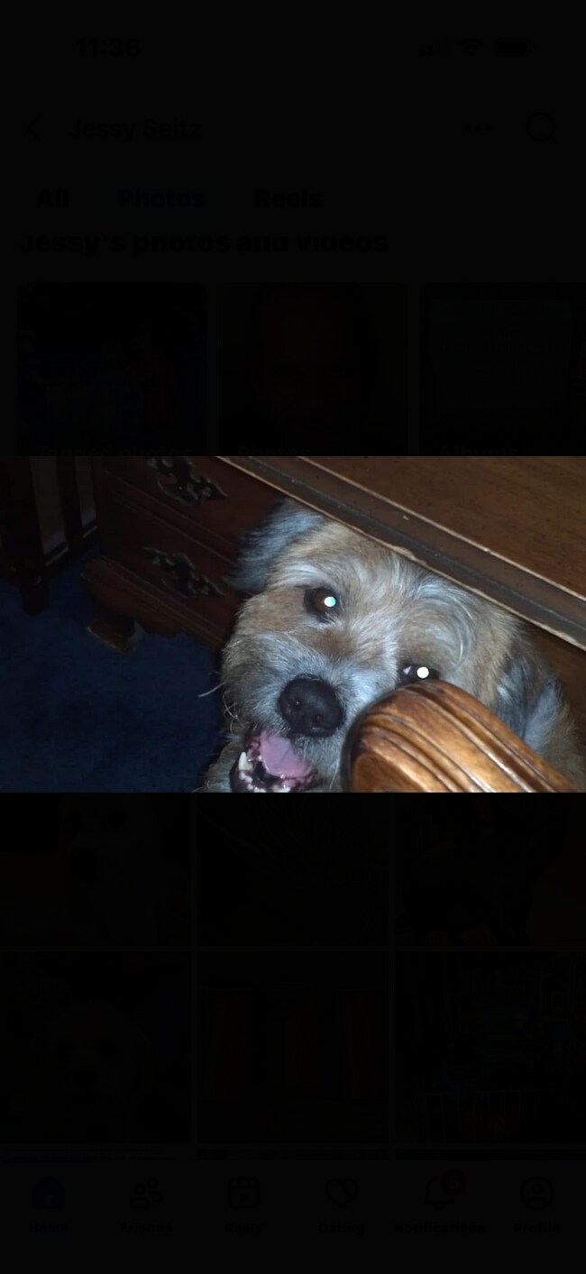 Photo - 12516 W Torquay Rd Unidad 12516