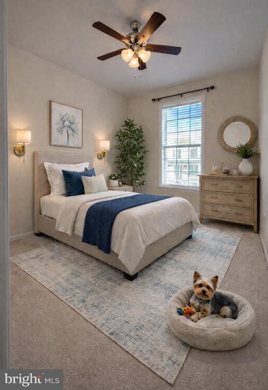 Photo - 2817 Shearwater Ln