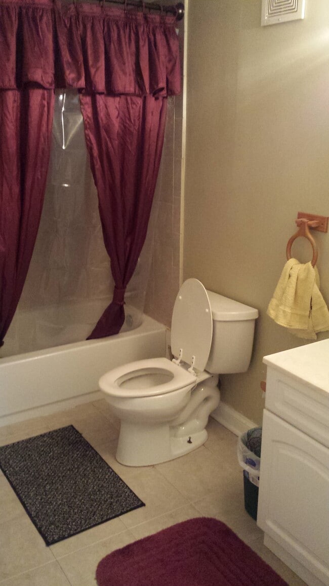 Master Bathroom - 614 Tralee Ct Unit 1C