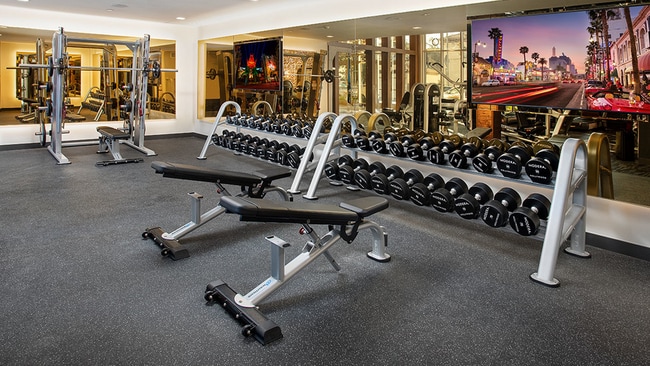 Free-weight stations and weight bench