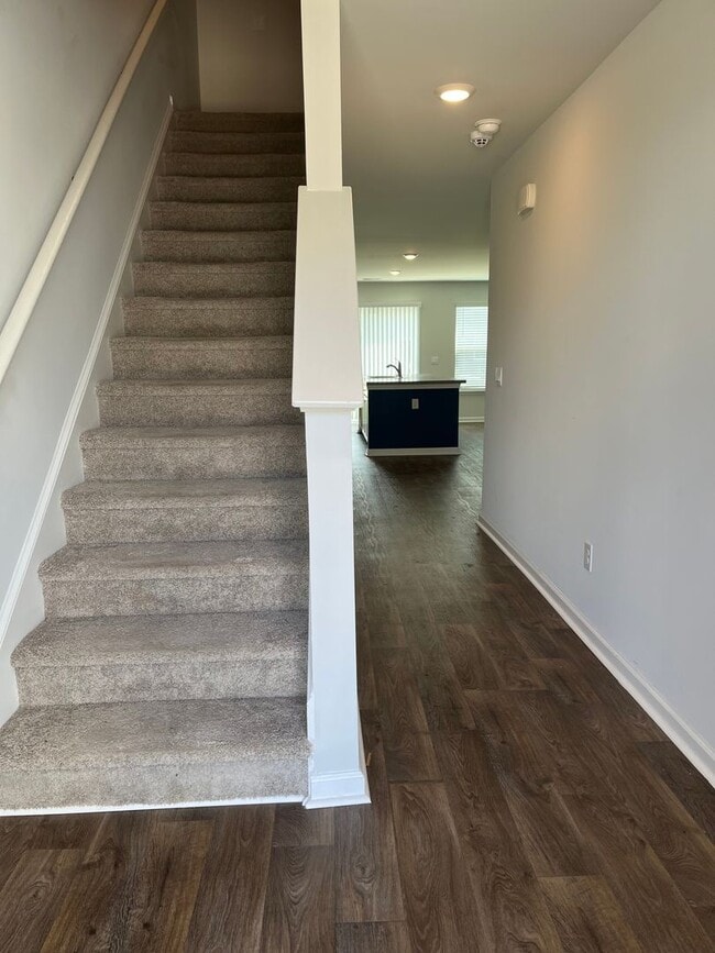 264 Blue Haw Dr