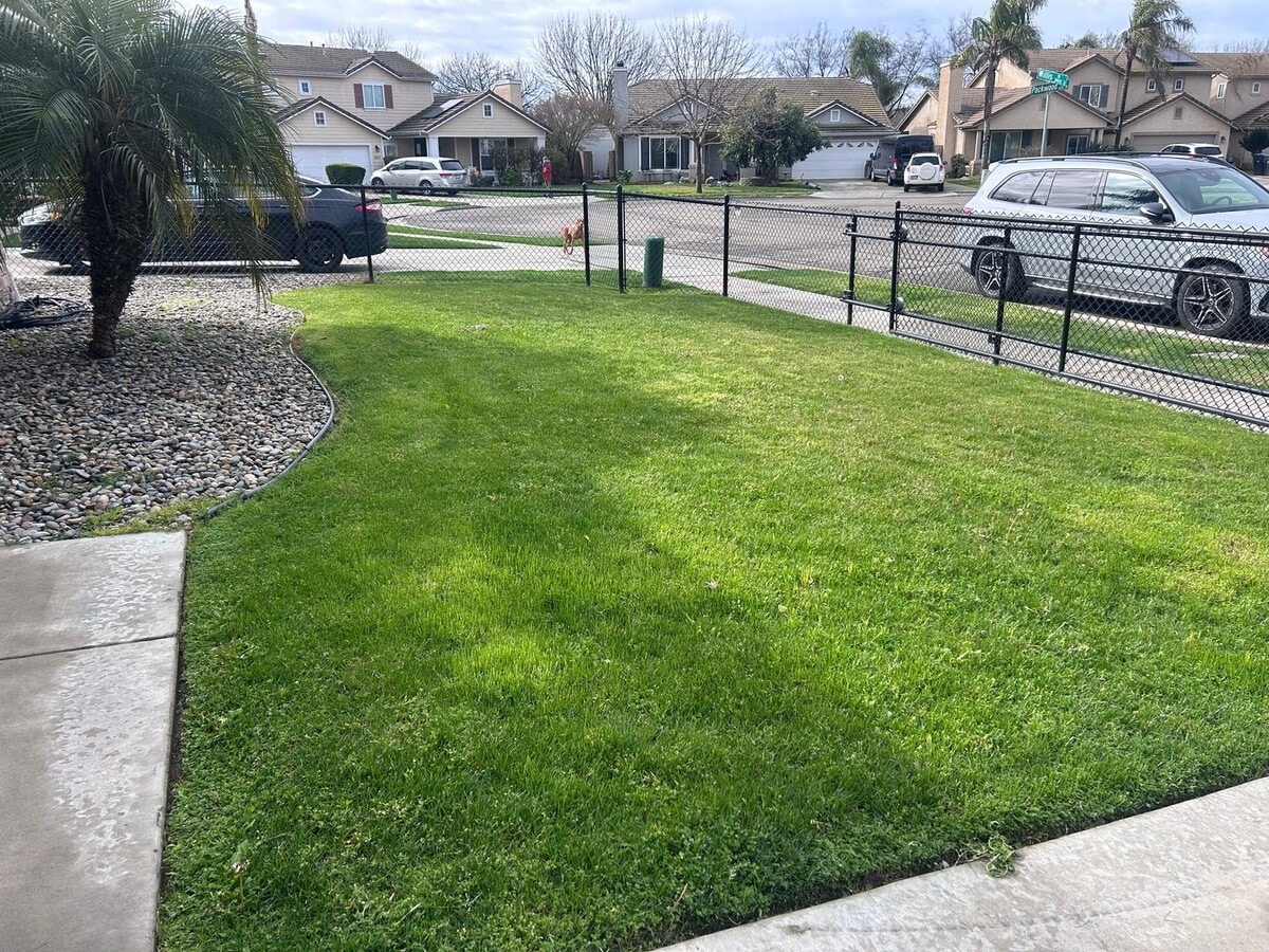 Photo - 3 bed 2 bath - South Visalia!