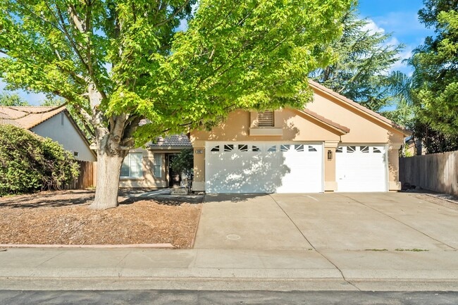Building Photo - 302 Carlina Ct